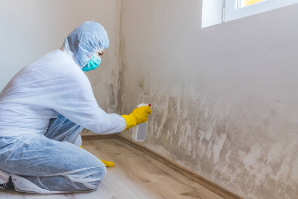 Licensed Mold Remediation service in Paris, VA - WQB Mold Removal