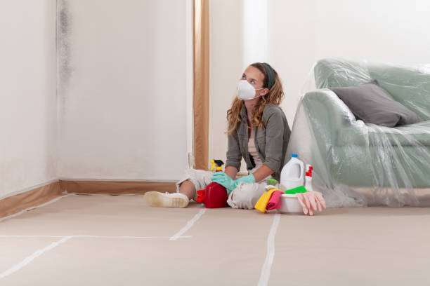 Reliable Mold Remediation contractor in Paris, VA by WQB Mold Removal